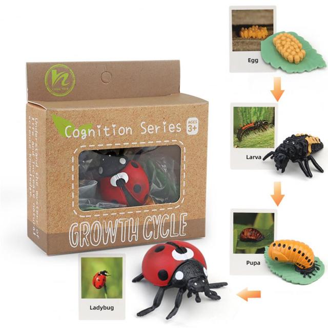 Ciclo da Vida - Plantas e Animais - Brinquedo Montessori #Product_type# - Desenvolvimento infantil