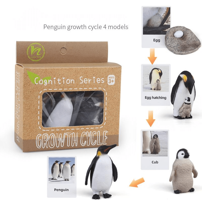 Ciclo da Vida - Plantas e Animais - Brinquedo Montessori #Product_type# - Desenvolvimento infantil