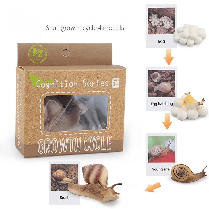 Ciclo da Vida - Plantas e Animais - Brinquedo Montessori #Product_type# - Desenvolvimento infantil