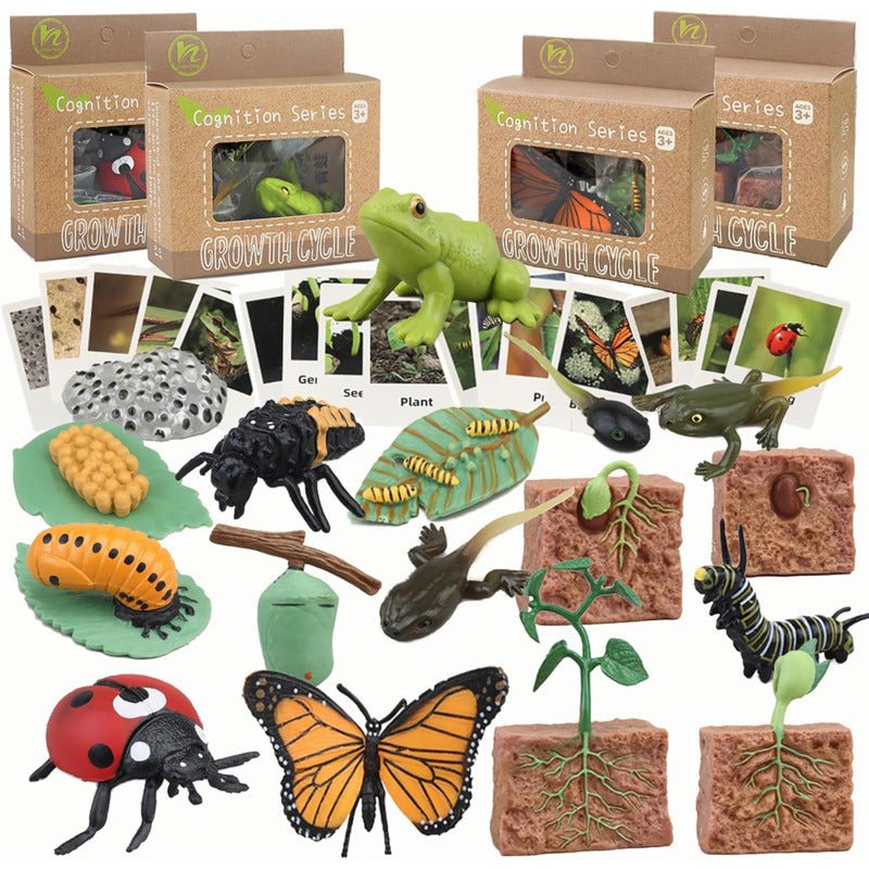 Ciclo da Vida - Plantas e Animais - Brinquedo Montessori #Product_type# - Desenvolvimento infantil