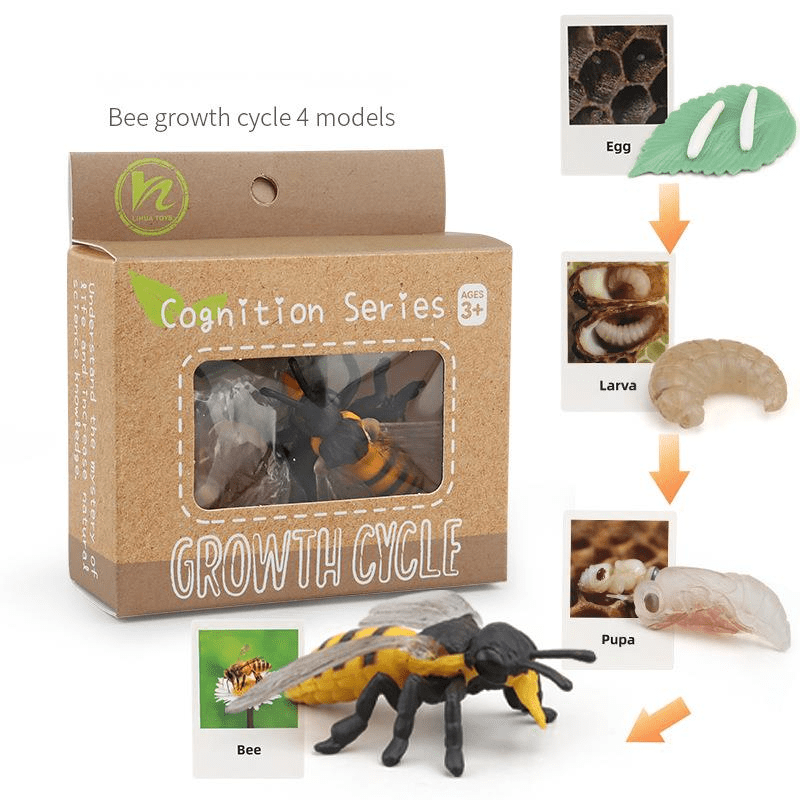 Ciclo da Vida - Plantas e Animais - Brinquedo Montessori #Product_type# - Desenvolvimento infantil