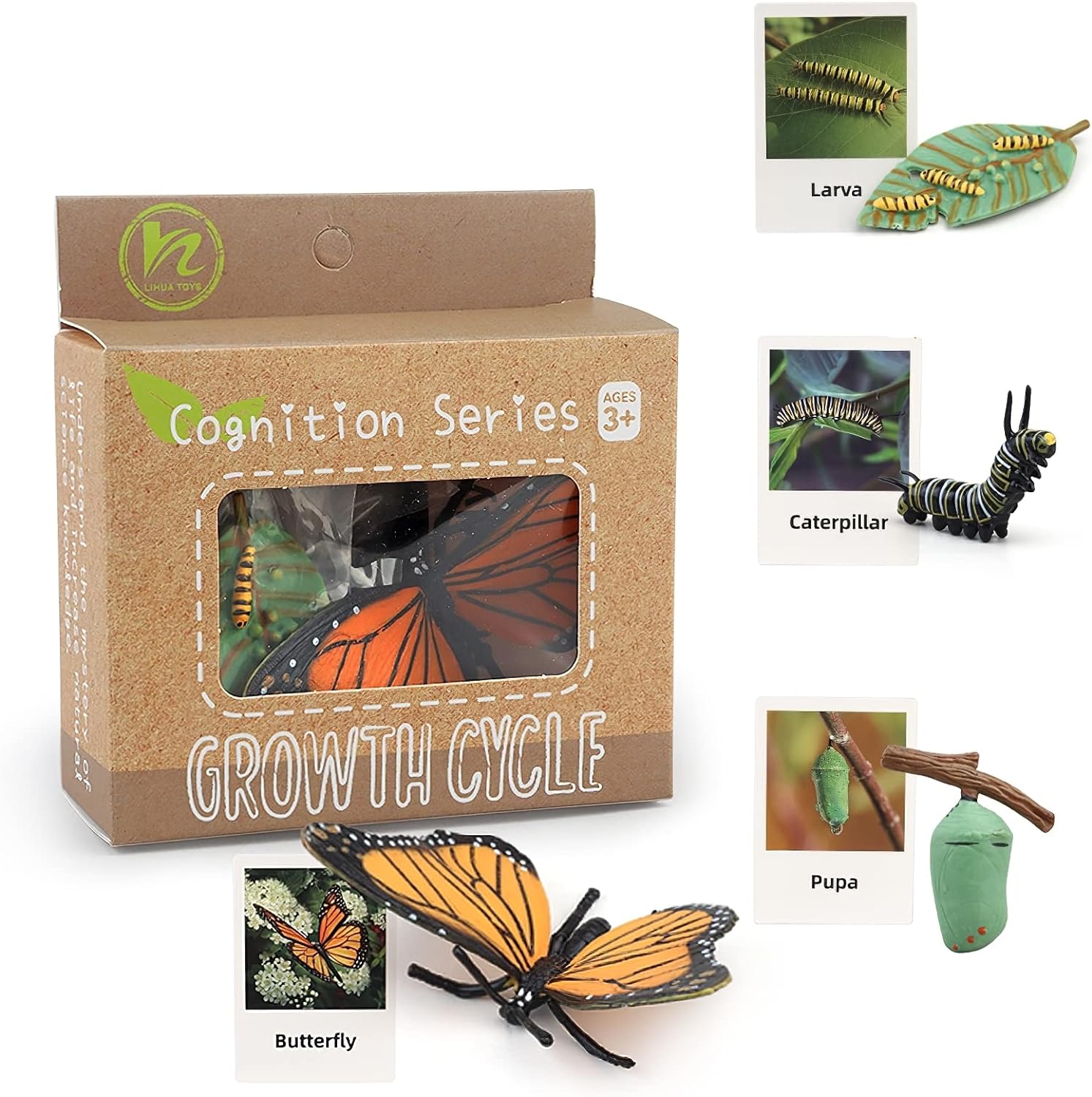 Ciclo da Vida - Plantas e Animais - Brinquedo Montessori #Product_type# - Desenvolvimento infantil