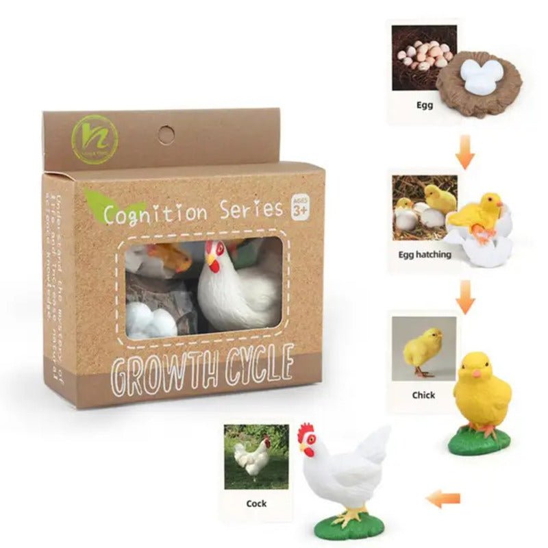 Ciclo da Vida - Plantas e Animais - Brinquedo Montessori #Product_type# - Desenvolvimento infantil