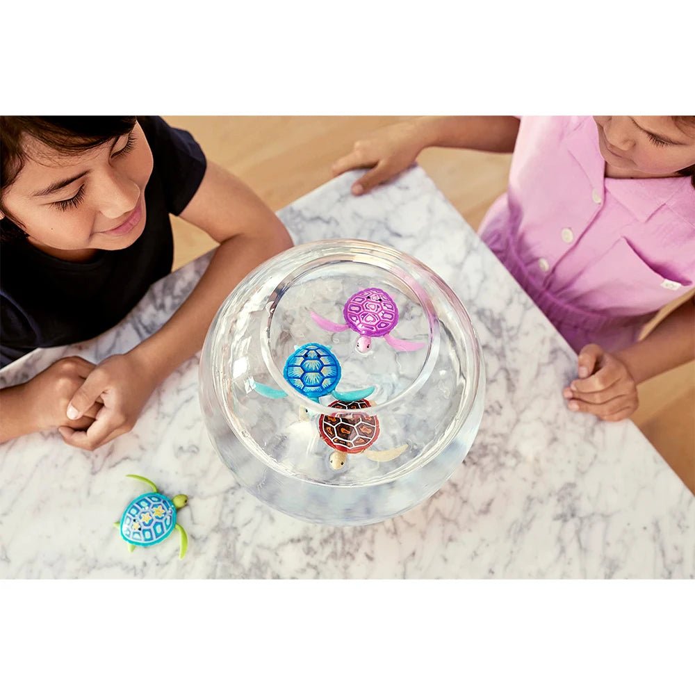 Robô Tartaruga - Brinquedo Montessori #Product_type# - Desenvolvimento infantil
